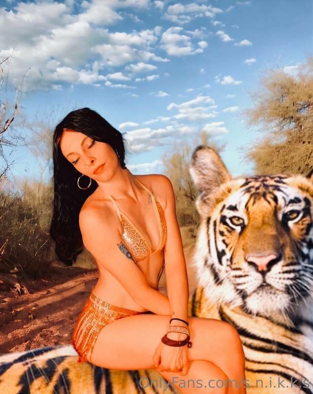 ☀️💥🔥 🌻 8