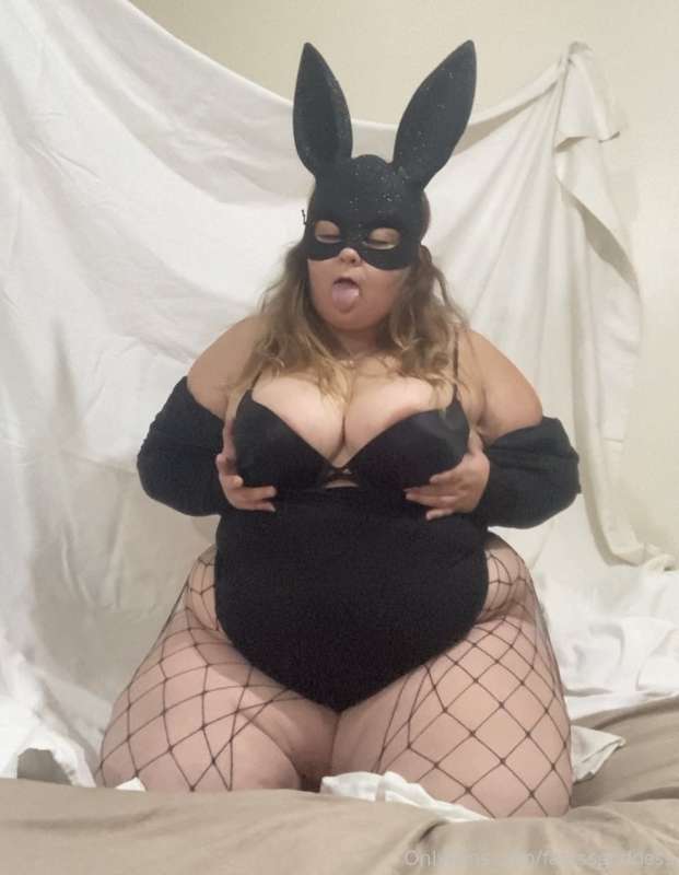 Let’s fuck like rabbits , all day every day 🐇 6