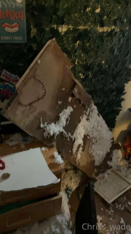 Hello everyone! As of right now my apartment is totaled. My .. 1
