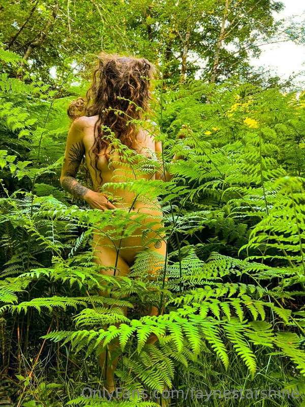 Just getting lost in the ferns.