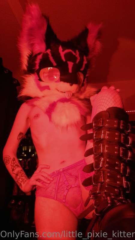 Some more furry pics 🐾 3