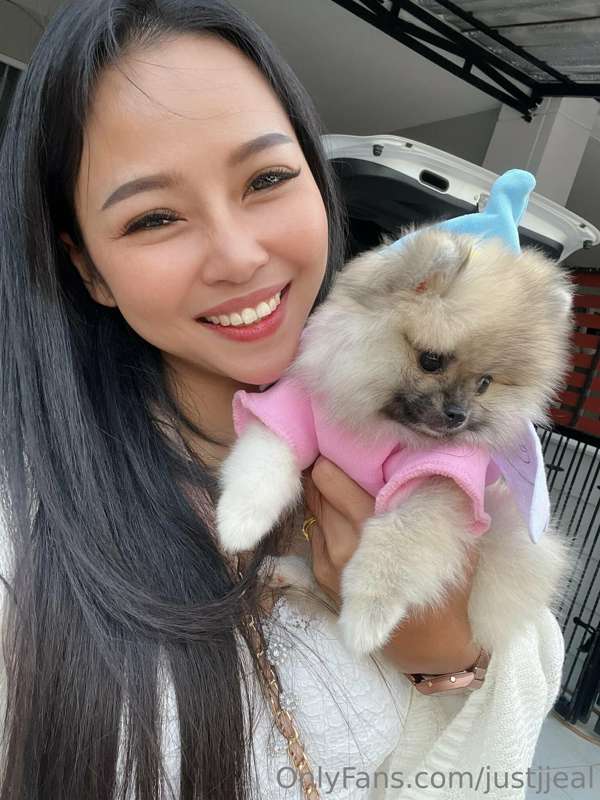 **Where are my dog lovers?** 😍