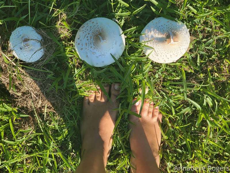 Barefoot, braless and bushy 7