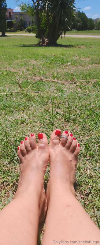 "I love petting chickens with my feet... Would you like it?M..