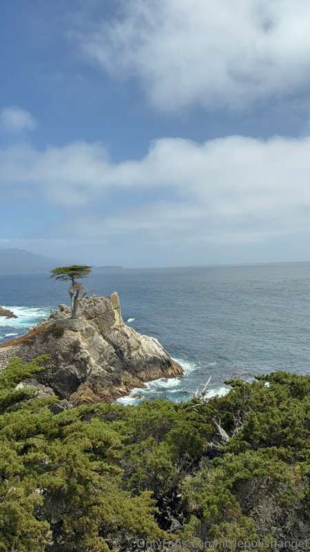 Big Sur is honestly one of the most breathtaking places I’ve..
