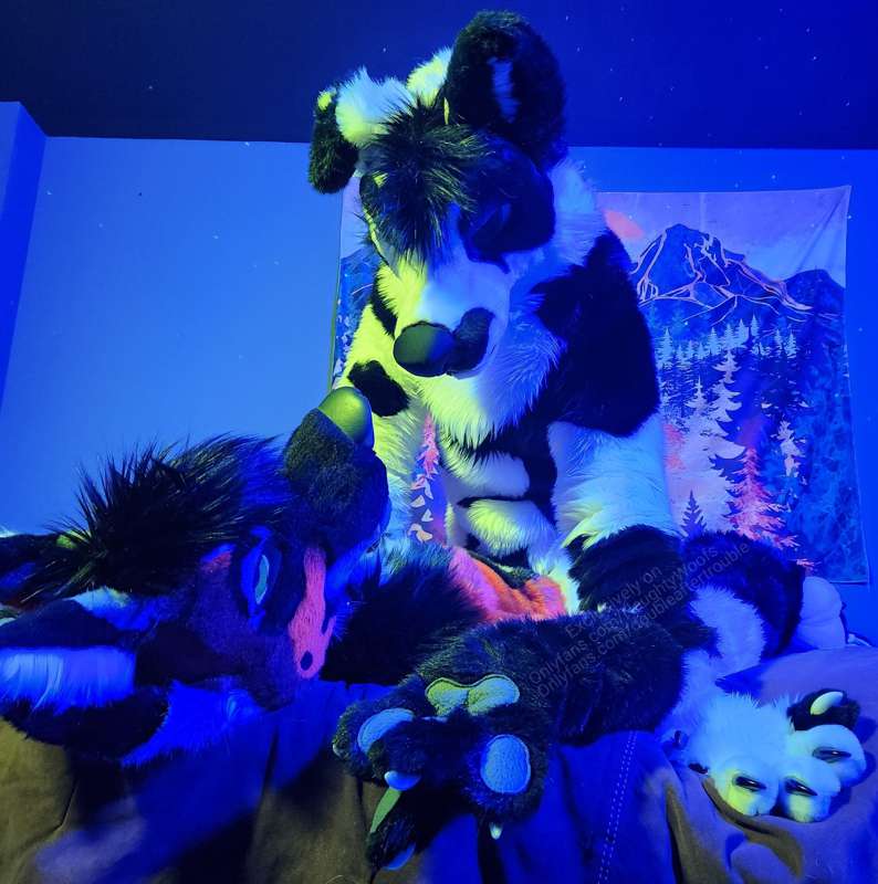 Enjoy a few pictures taken with the seductive doggo @doublea.. 5