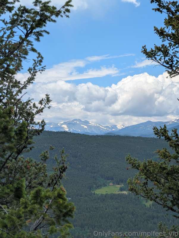 Went hiking the other day it was absolutely gorgeous outside.. 1