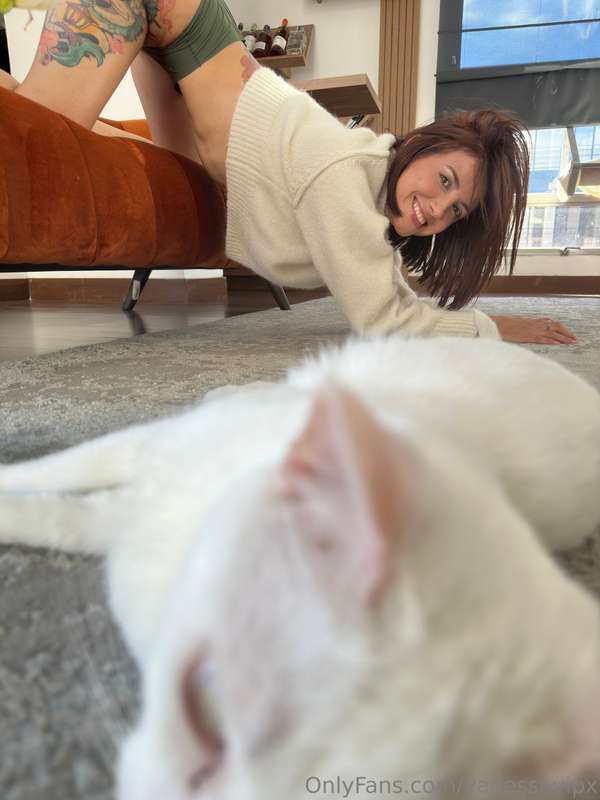 I think I saw my cute kitten in the next photo