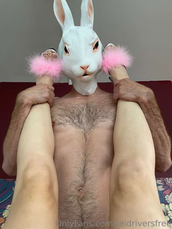 Energizer bunny cumming out to play this Halloween 4