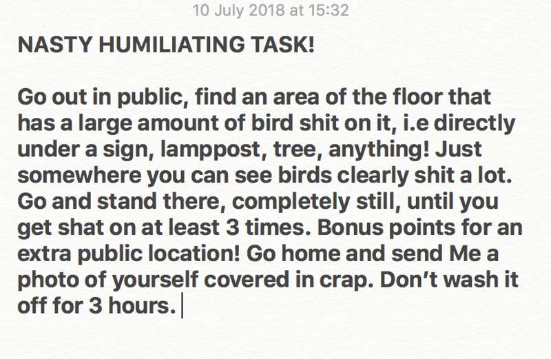 Nasty Humiliating Task for total losers!
