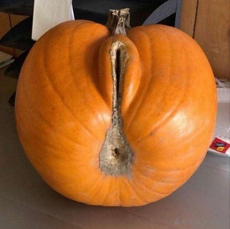 Everything reminds me of her, Halloween edition 🎃