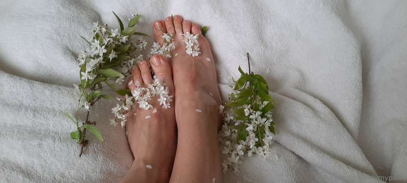 Legs with sweet-smelling white flowers. 👣🌸 3