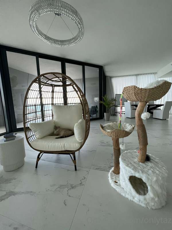 All that hard work building this chair and he not even gonna.. 1