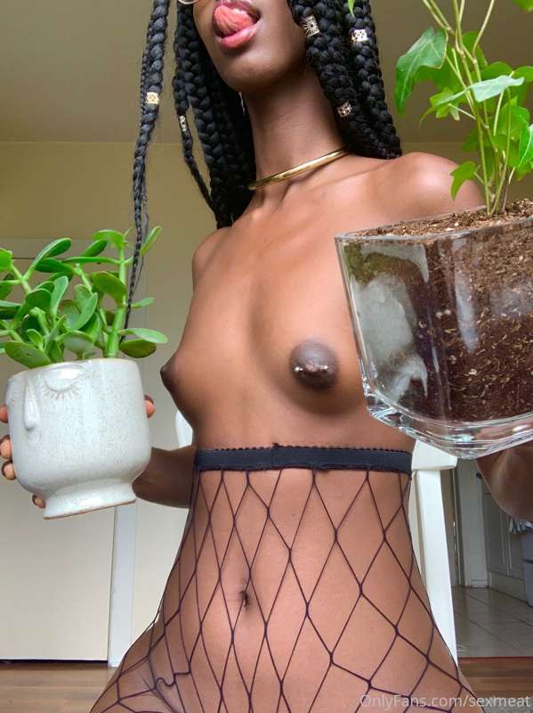 Fun fact: I love plants! These are 2 of my beautiful babies... 2