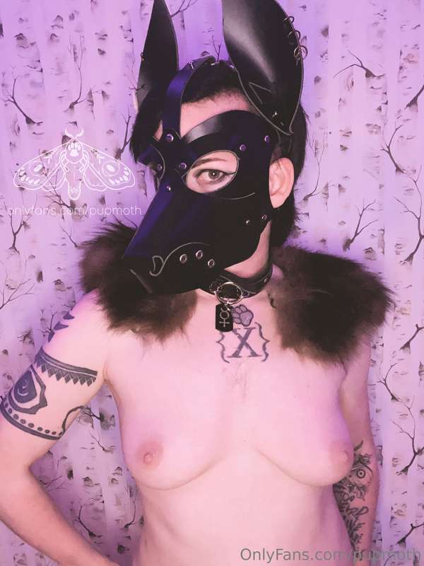Feral but breedable. 2