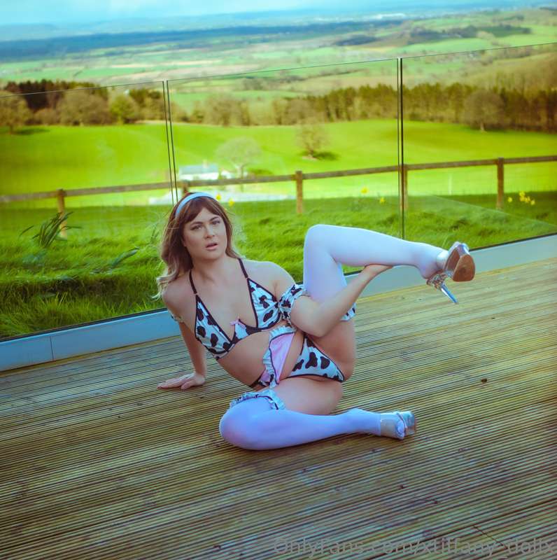 Here it is! My new Spring themed Moo Cow photo set! Enjoy ne.. 14