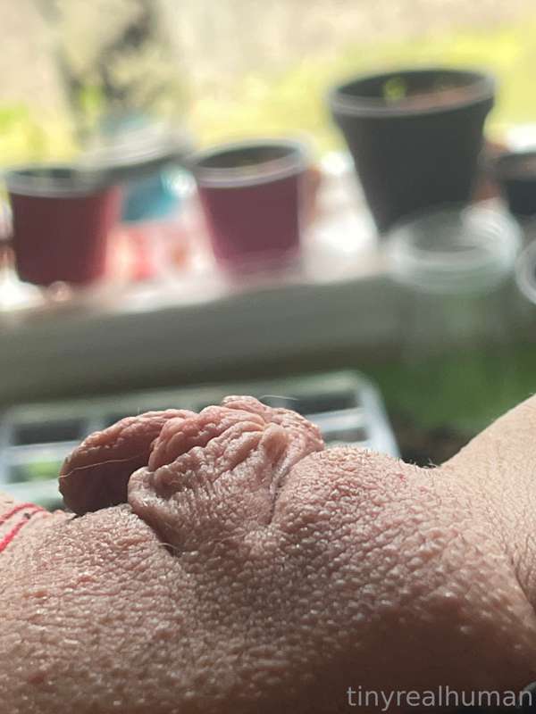 Damn. My plants are growing so fast🥰