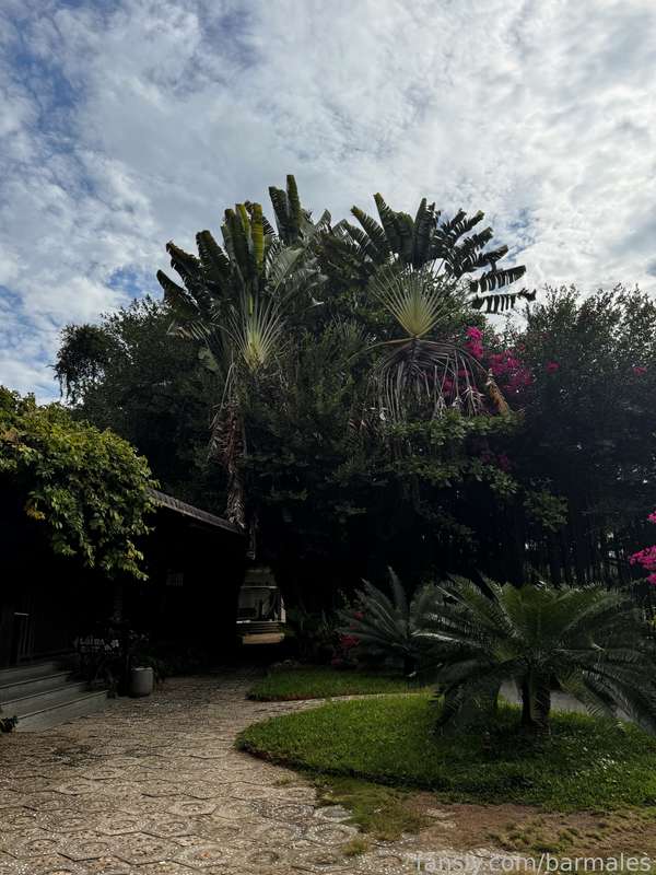 Barmales - Fansly - 27 Sep, 2024 75