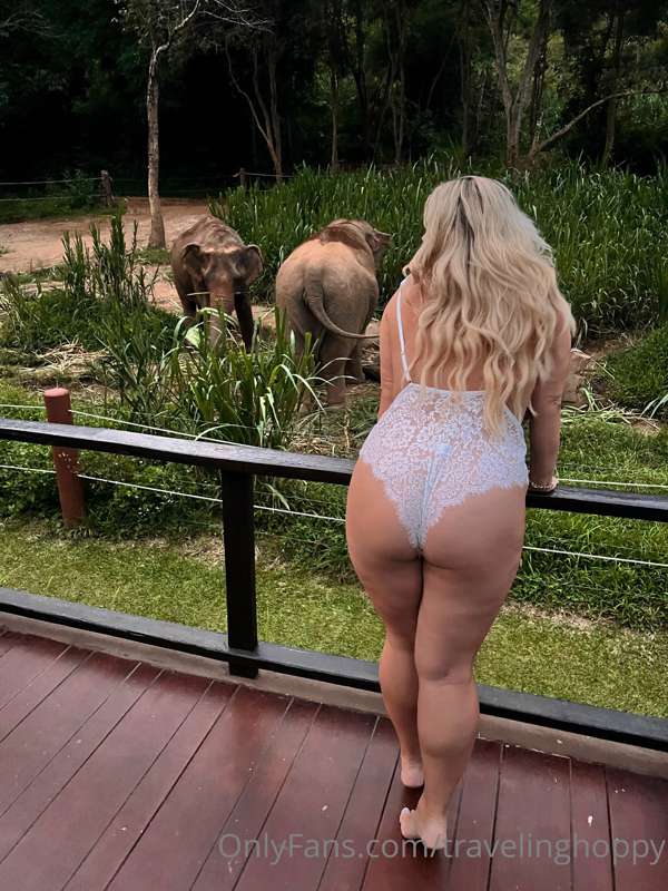 The elephants couldn’t care less 😆 2