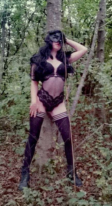 You are walking through the forest and you come across the c.. 2