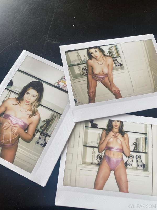 Who wants to buy Polaroids?? DM for details!