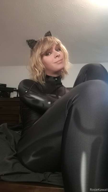 cat noir set 1/4 x :3 21