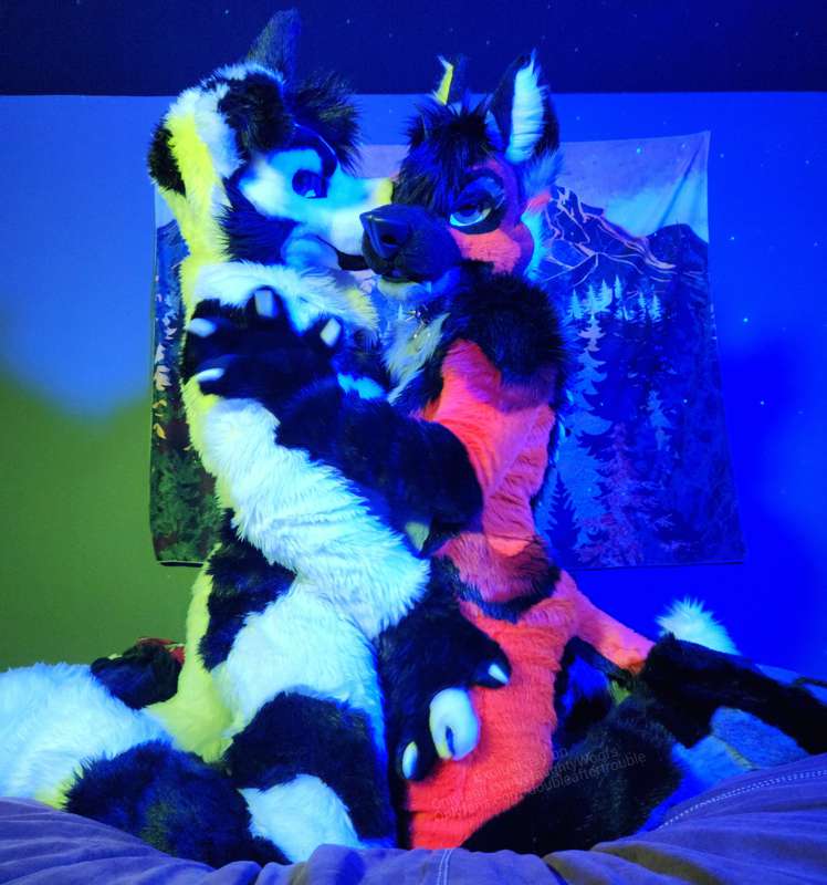 Enjoy a few pictures taken with the seductive doggo @doublea.. 4