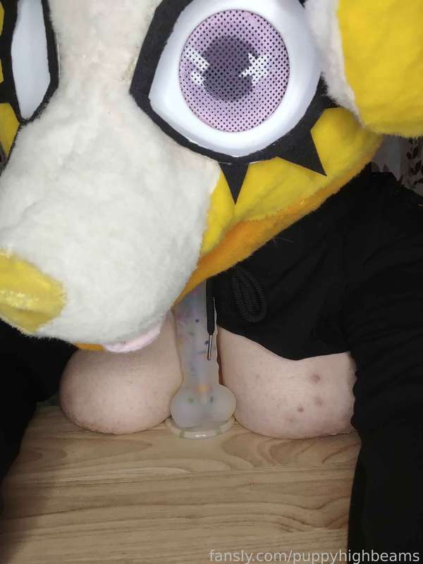 Puppyhighbeams - Fansly - 19 Mar, 2025