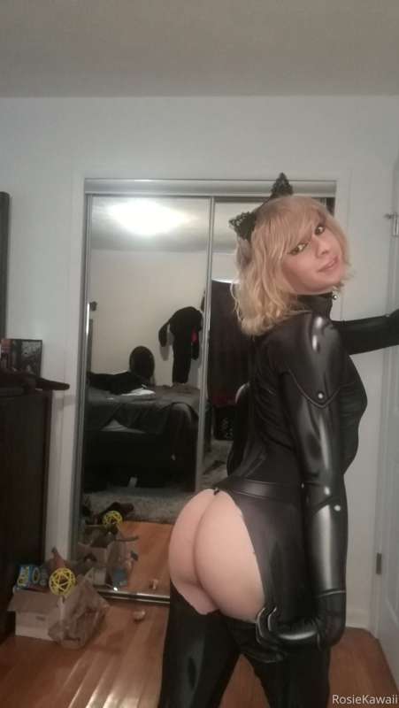 cat noir set 2/4 x :3 4