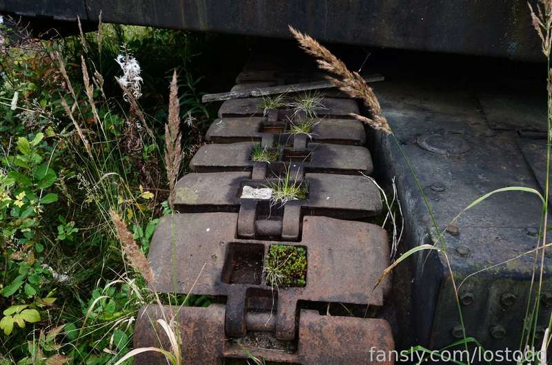 Lostodg - Fansly - 14 Aug, 2024 1