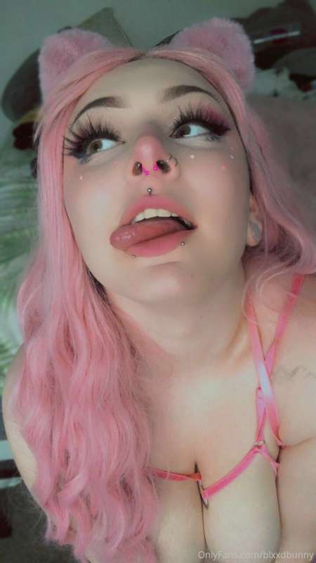 dingus bingus 3