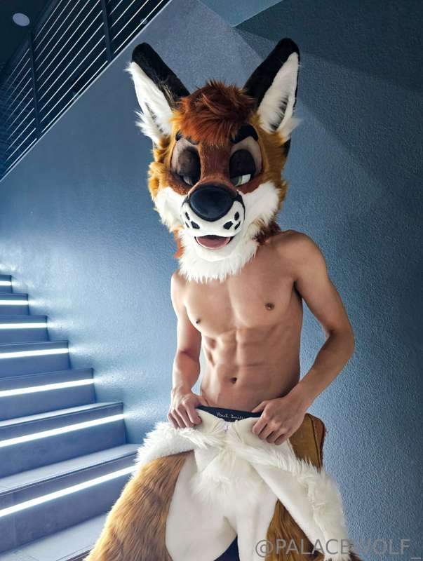 Tried on my friends fursuit, what do you guys think?😏
