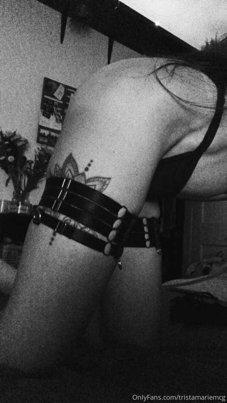 🦂