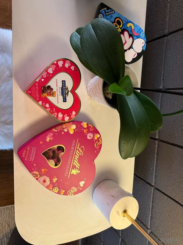 is it too late to ask you to be our valentine? 🥹💌💓 @sofiiiia.. 1