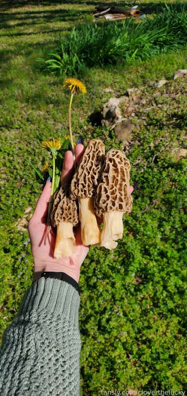 Cloverthelucky - Fansly - 12 May, 2025 13