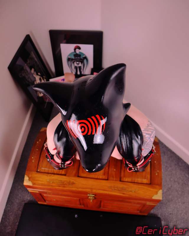 Pup-bot bitchsuit photo set 3I hope you enjoy~ 💕My next shoo.. 4