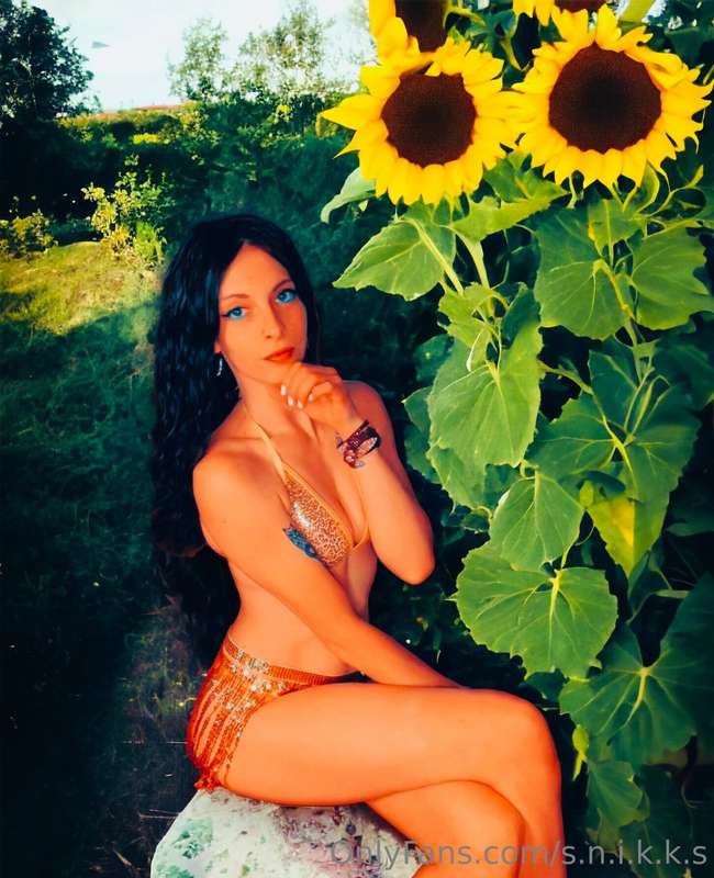 ☀️💥🔥 🌻 6