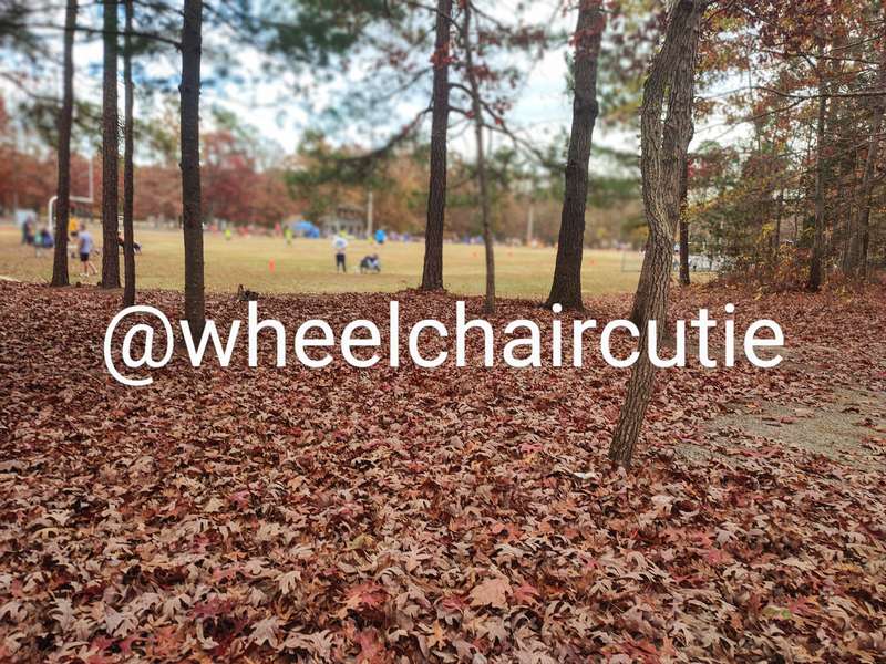 Wheelchaircutie - Fansly - 21 Nov, 2022 1