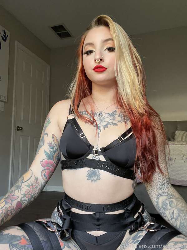 Apex.Free - Onlyfans - 12 Nov, 2021 1