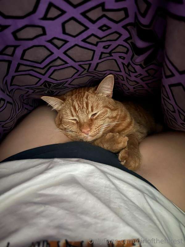 Dasha’s pussy 