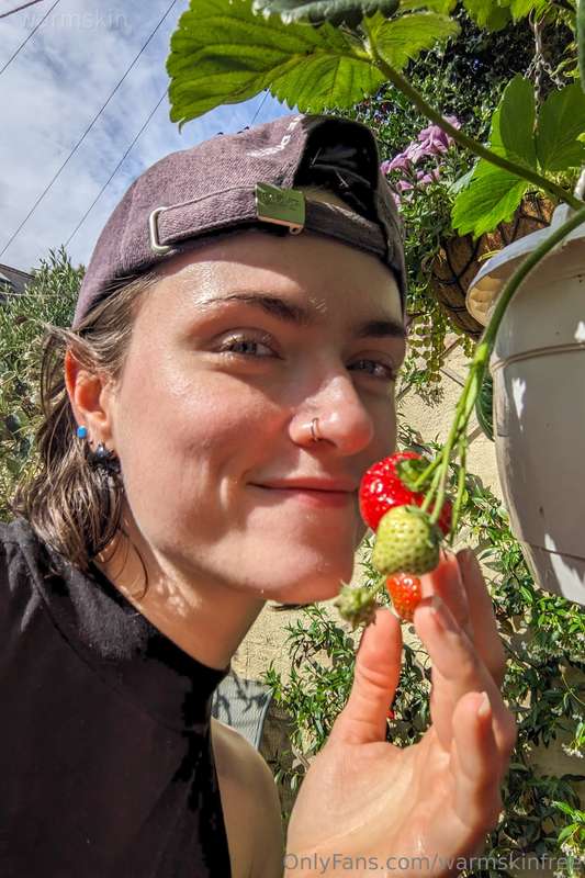 just wanted to show you what i grew in my garden this summer.. 1