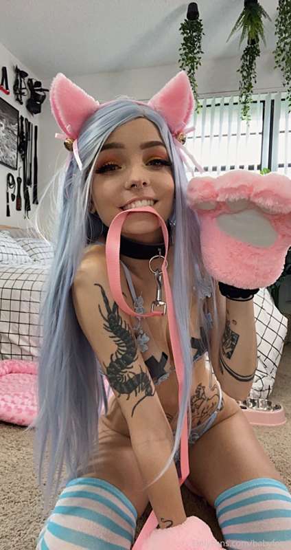 Kitty set Pt. 1 💗🐟🐾 I want head pats 😼 16
