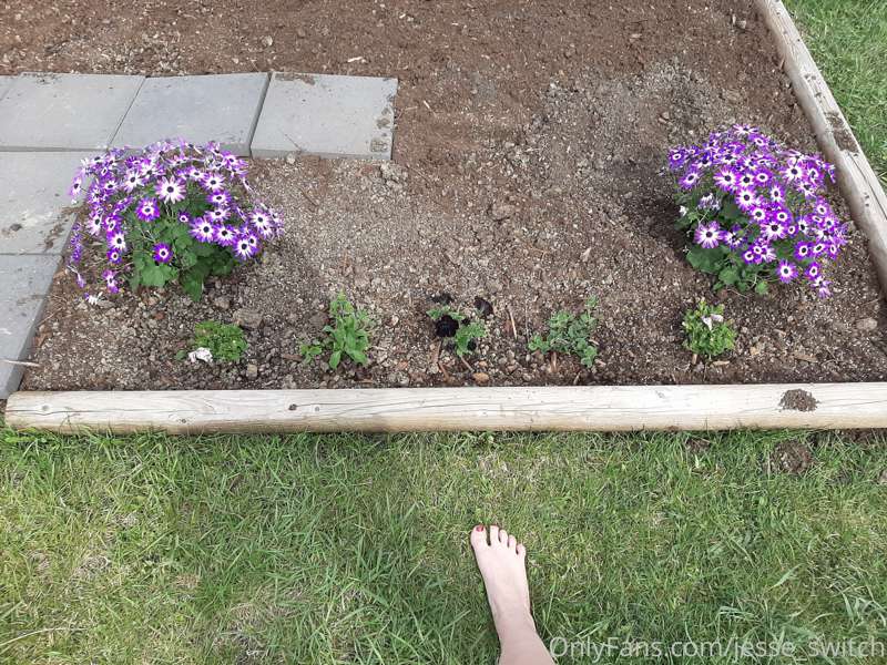 Lmaooooo I wanted to show my garden in the second pic (there.. 2