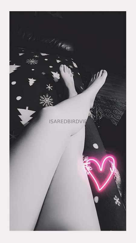 Isaredbirdvip - Onlyfans - 25 May, 2025