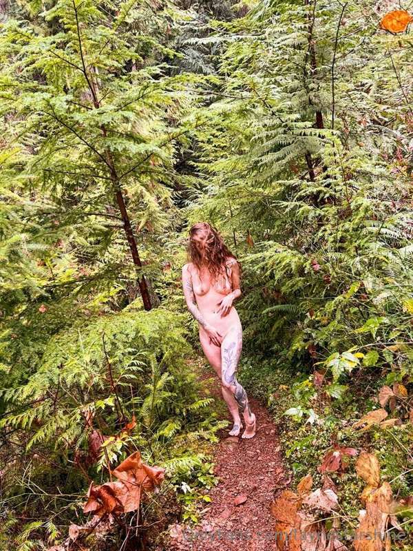 Lost in the woods. Photo by @ikarinotsuki
