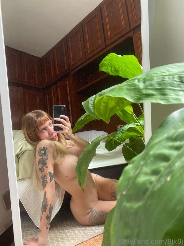 🌴🌲🍀🌲🍀🌲🌲 3