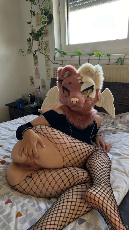 Novaxcat - Onlyfans - 19 Sep, 2024