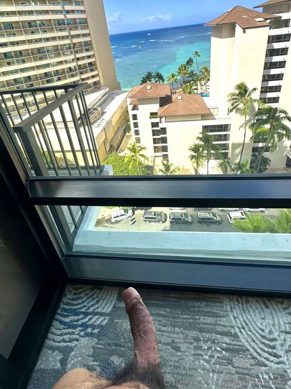 WHO WANTS TO GET BRED IN HAWAII? 🌺 4