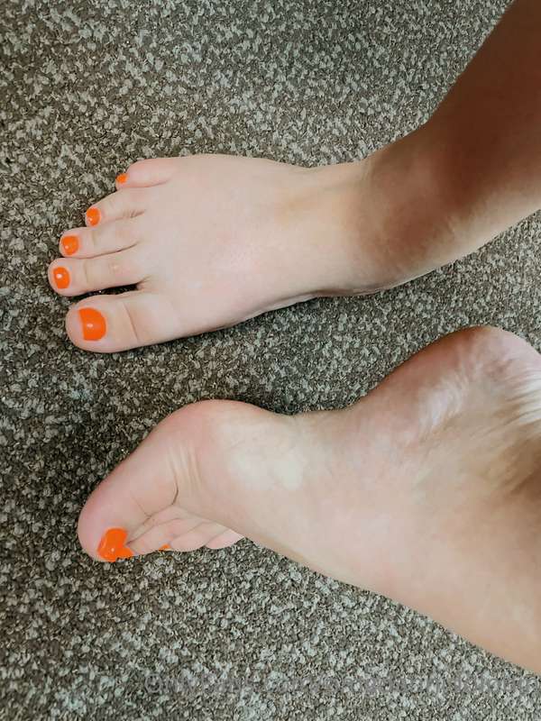 Flippers done! 🏳️‍⚧️🧡 1