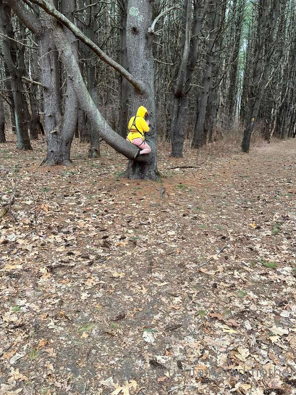 Peggachu!!! In the wild being feral!! 6